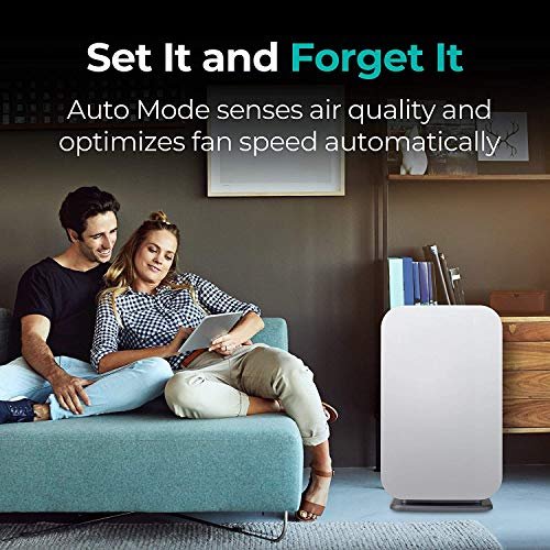 Alen BreatheSmart 45i HEPA Air Purifier