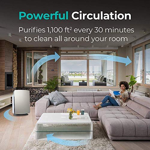 Alen BreatheSmart Classic Air Purifier