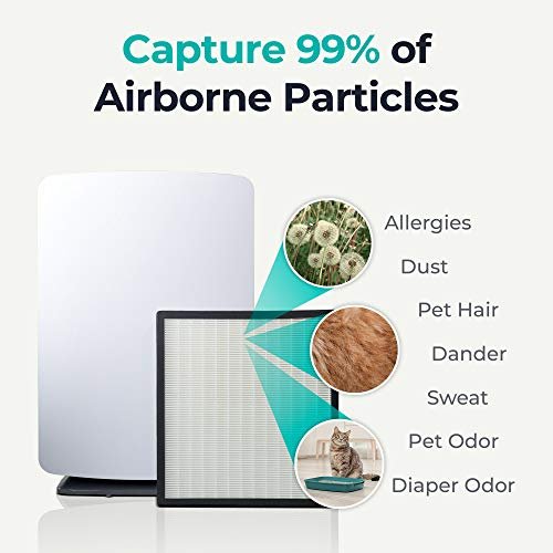 Alen BreatheSmart Classic Air Purifier