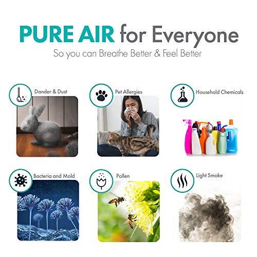 Alen BreatheSmart Flex Air Purifier