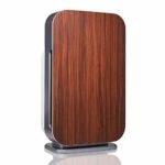 Rosewood Alen BreatheSmart Flex Air Purifier