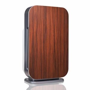 Rosewood Alen BreatheSmart Flex Air Purifier Product Image