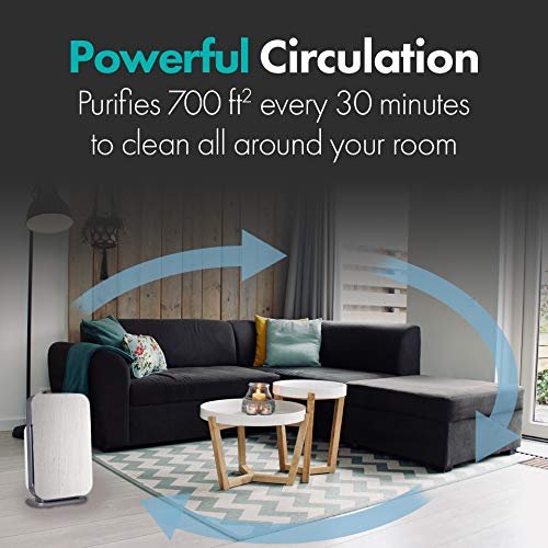 Alen BreatheSmart Flex Air Purifier